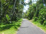 tuv09 The  main feature on Funafuti is the long paved road which crosses most of the east island from North to South for a dozen km. In the main village, the traffic can be surprisingly intense, but on the outer stretches the road is quite desert.